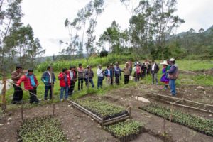 Gente reunida en el campo